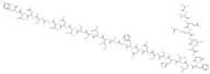 Amylin (8-37) (human) trifluoroacetate salt