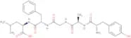 (D-Ala2,D-Leu5)-Enkephalin