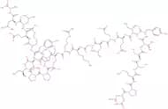 Acetyl-Calpastatin (184-210) (human)