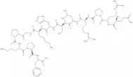 Apelin-13 (human, bovine, mouse, rat)