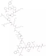 ACTH (3-24) (human, bovine, rat) trifluoroacetate salt