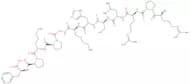 Apelin-12 (human, bovine, mouse, rat)