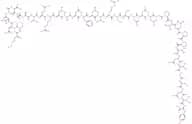 Amylin (mouse, rat) trifluoroacetate salt