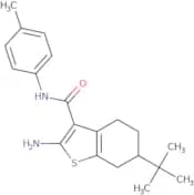 2-Amino-6-tert-butyl-N-(4-methylphenyl)-4,5,6,7-tetrahydro-1-benzothiophene-3-carboxamide