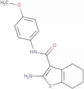 2-Amino-N-(4-methoxyphenyl)-4,5,6,7-tetrahydro-1-benzothiophene-3-carboxamide