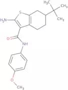 2-Amino-6-tert-butyl-N-(4-methoxyphenyl)-4,5,6,7-tetrahydro-1-benzothiophene-3-carboxamide