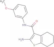 2-Amino-N-(3-methoxyphenyl)-4,5,6,7-tetrahydro-1-benzothiophene-3-carboxamide
