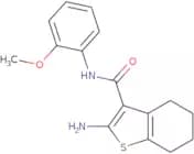 2-Amino-N-(2-methoxyphenyl)-4,5,6,7-tetrahydro-1-benzothiophene-3-carboxamide