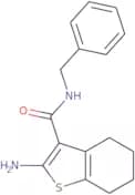 2-Amino-N-benzyl-4,5,6,7-tetrahydro-1-benzothiophene-3-carboxamide