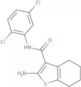 2-Amino-N-(2,5-dichlorophenyl)-4,5,6,7-tetrahydro-1-benzothiophene-3-carboxamide