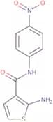 2-Amino-N-(4-nitrophenyl)thiophene-3-carboxamide