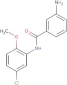 3-Amino-N-(5-chloro-2-methoxyphenyl)benzamide