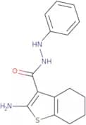 2-Amino-N'-phenyl-4,5,6,7-tetrahydro-1-benzothiophene-3-carbohydrazide