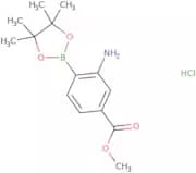 (2-Amino-4-methoxycarbonyl)benzeneboronic acid pinacolesterHydrochloride