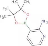 2-Aminopyridine-3-boronic acid pinacol ester