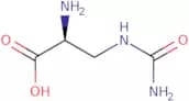 L-Albizziin
