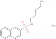 N-(4-Aminobutyl)-2-naphthalenesulfonamide hydrochloride