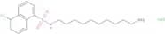 N-(10-Aminodecyl)-5-chloro-1-naphthalenesulfonamide hydrochloride