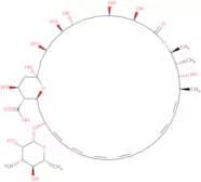 Amphotericin A