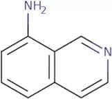 8-Aminoisoquinoline