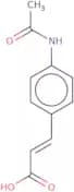 4-Acetamidocinnamic acid