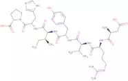 Angiotensin, Canine, Rat