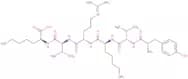 Band 3 Protein (824-829) (human)