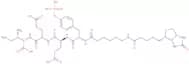 Biotinyl-epsilon-aminocaproyl-Tyr(PO3H2)-Glu-Glu-Ile-OH