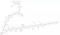 Big Endothelin-1 (human)