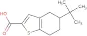 5-tert-Butyl-4,5,6,7-tetrahydro-1-benzothiophene-2-carboxylic acid