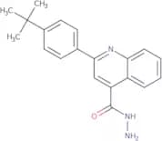 2-(4-tert-Butylphenyl)quinoline-4-carbohydrazide