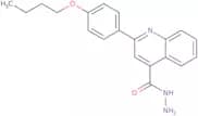 2-(4-Butoxyphenyl)quinoline-4-carbohydrazide