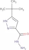 3-tert-Butyl-1H-pyrazole-5-carbohydrazide