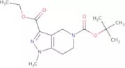 5-tert-Butyl 3-ethyl 1-methyl-1,4,6,7-tetrahydro-5H-pyrazolo[4,3-c]pyridine-3,5-dicarboxylate