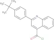 2-(4-tert-Butylphenyl)quinoline-4-carbonyl chloride