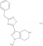 3-(3-Benzyl-1,2,4-oxadiazol-5-yl)-1-methyl-4,5,6,7-tetrahydro-1H-pyrazolo[4,3-c]pyridine hydrochlo…