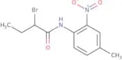 2-Bromo-N-(4-methyl-2-nitrophenyl)butanamide