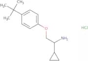 [2-(4-tert-Butylphenoxy)-1-cyclopropylethyl]amine hydrochloride