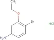4-Bromo-3-ethoxyaniline hydrochloride