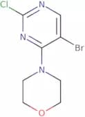 4-(5-Bromo-2-chloropyrimidin-4-yl)morpholine