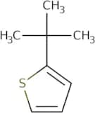 2-tert-Butylthiophene