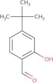 4-tert-Butyl-2-hydroxybenzaldehyde