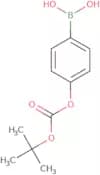 4-tert-Butoxycarboxyphenylboronicacid