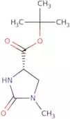 tert-Butyl(4S)-1-methyl-2-oxoimidazolidine-4-carboxylate