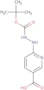 6-Boc-hydrazinonicotinicacid