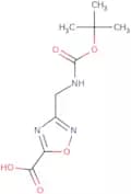 3-[[[(tert-Butoxy)carbonyl]amino]methyl]-1,2,4-oxadiazole-5-carboxylicacid