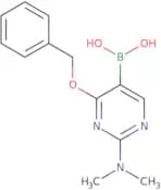 4-Benzyloxy-2-dimethylamino-pyrimidine-5-boronic acid