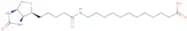 N-Biotinyl-12-aminododecanoic acid