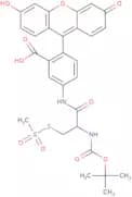 (L)-2-[(t-Boc)amino]-2-[(5-fluoresceinyl)aminocarbonyl]ethyl methanethiosulfonate