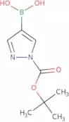 1-tert-Butoxycarbonyl-1H-pyrazole-4-boronic acid